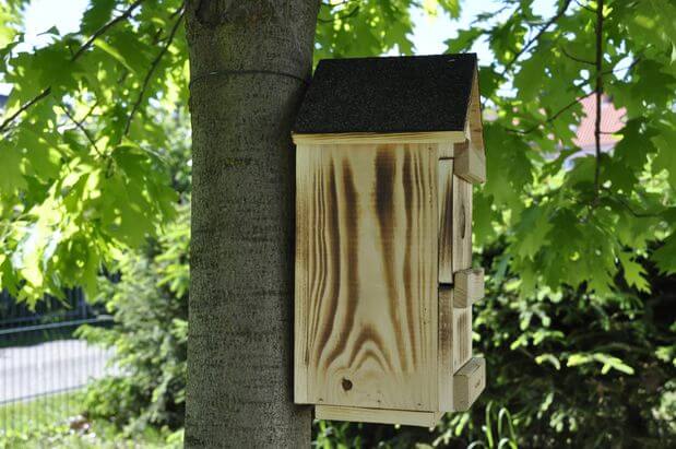 Nistkasten mit WLAN Kamera Funk