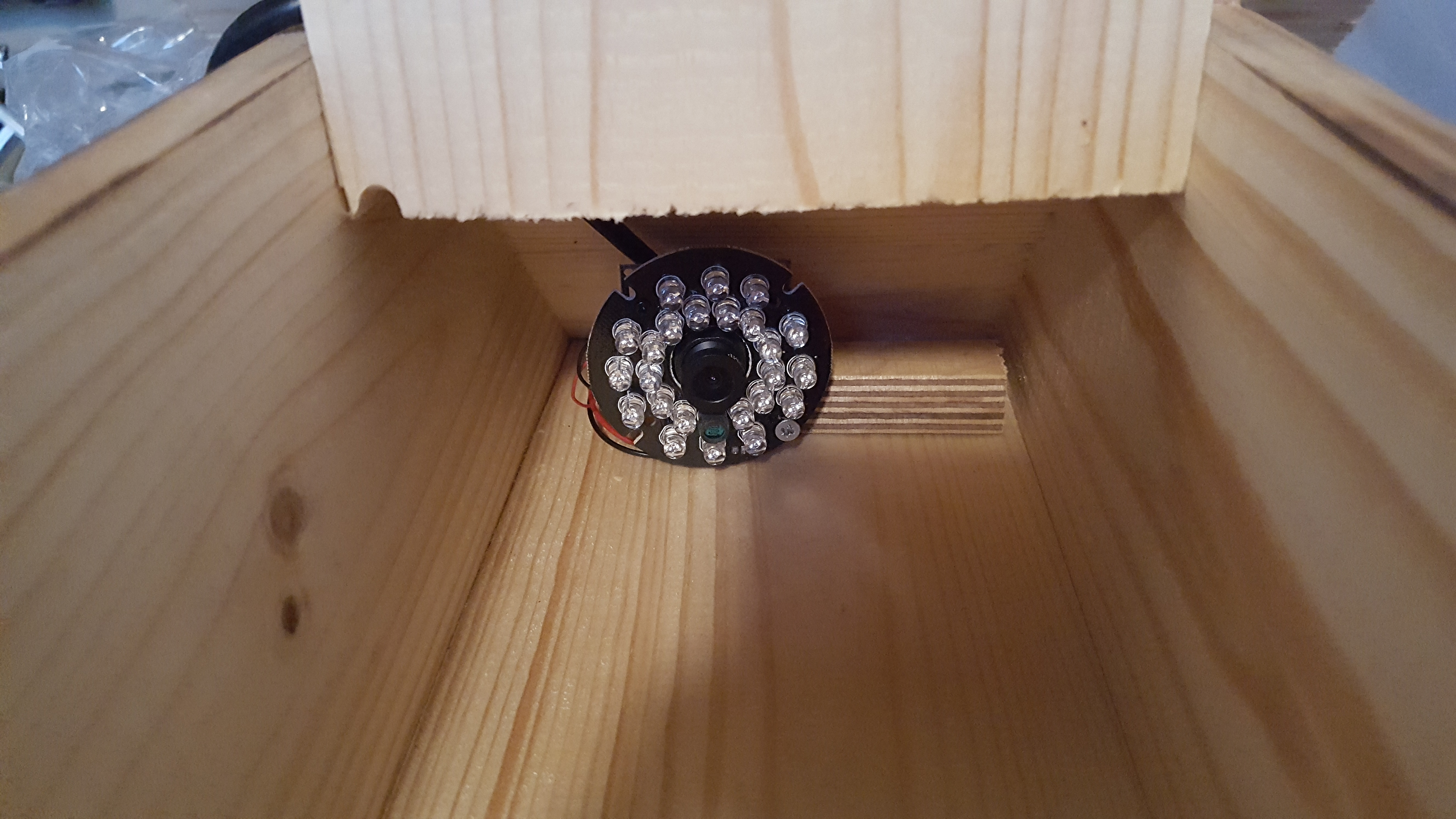 USB Mini Kamera in Vogelhaus Kamera im Vogelhaus