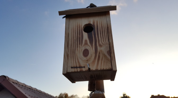 Kamera im Vogelhaus Nistkasten und Futterhaus Webcam