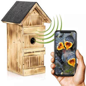 Nistkasten-mit-WLAN-Kamera-von-kamera-im-vogelhaus