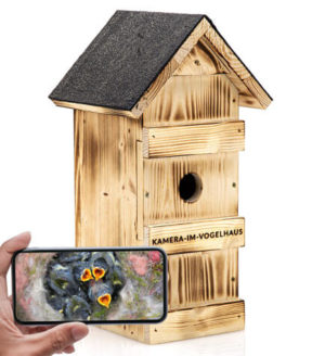 Nistkasten-mit-WLAN-Kamera-von-kamera-im-vogelhaus