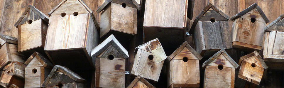 Nistkastentypen für Gartenvögel