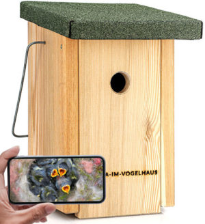 Liste Mit Brutzeiten Aller Vögel Und Weitere Infos - Kamera Im Vogelhaus