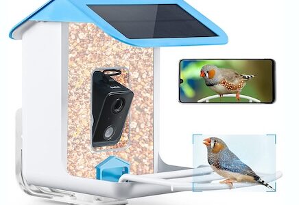 Vogelfutterspender mit WLAN-Kamera