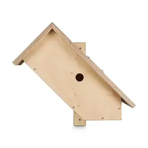 Nistkasten mit Solarkamera Wolkenheim Frontansicht