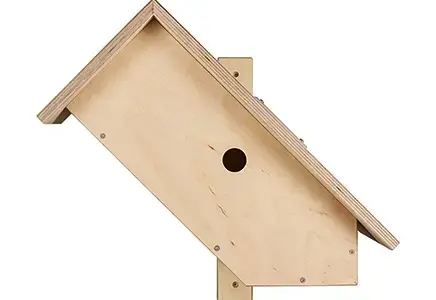 Nistkasten mit Solarkamera Wolkenheim Frontansicht