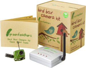 Green Feathers kabellose Vogelhauskamera SD 700TVL