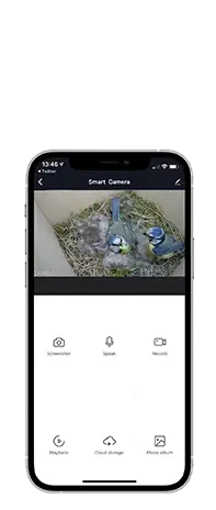 Kamera-im-Vogelhaus Smartphone